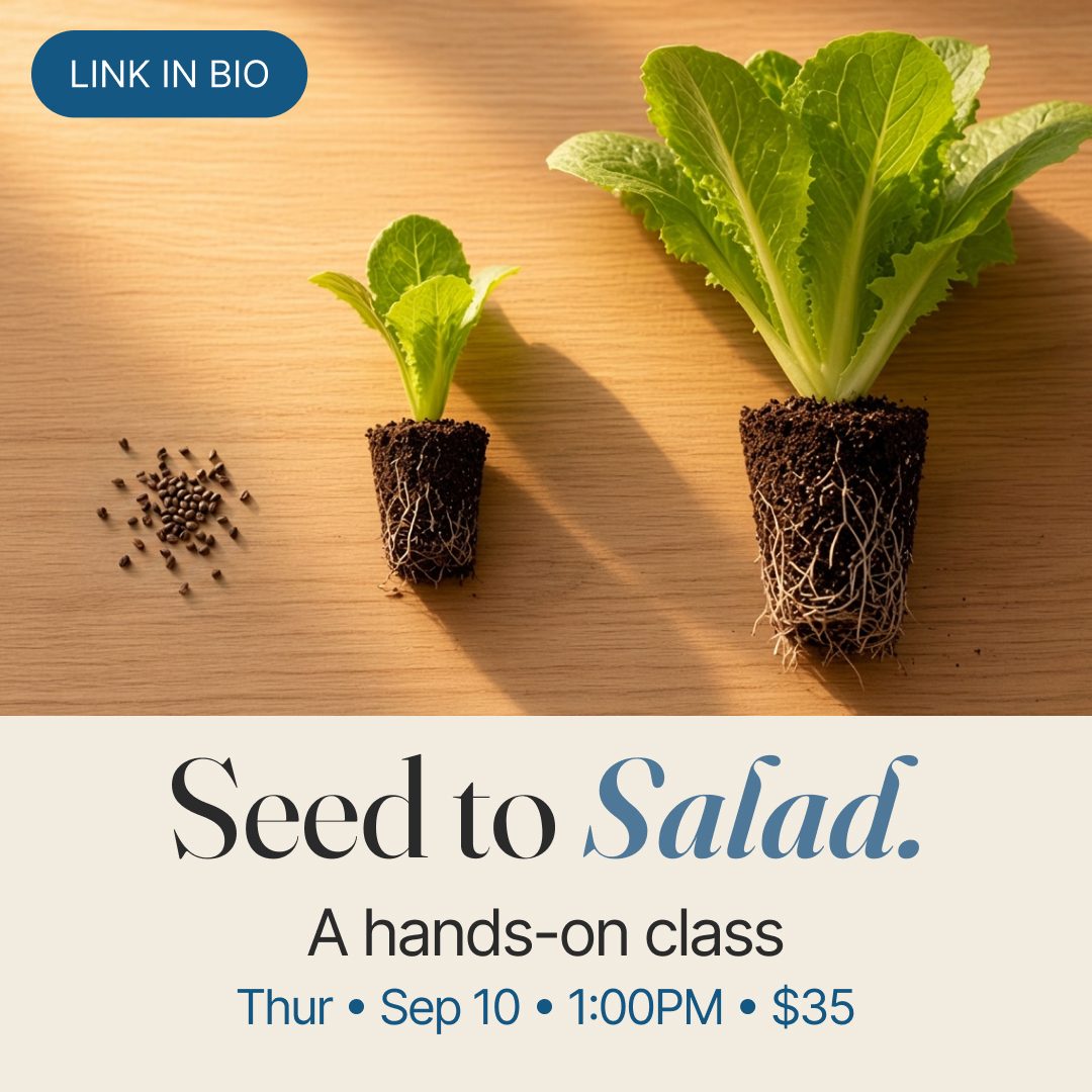 Instagram slide: Seed to Salad, a hands-on workshop, Thursday Sep 10, 1:00 PM, $35