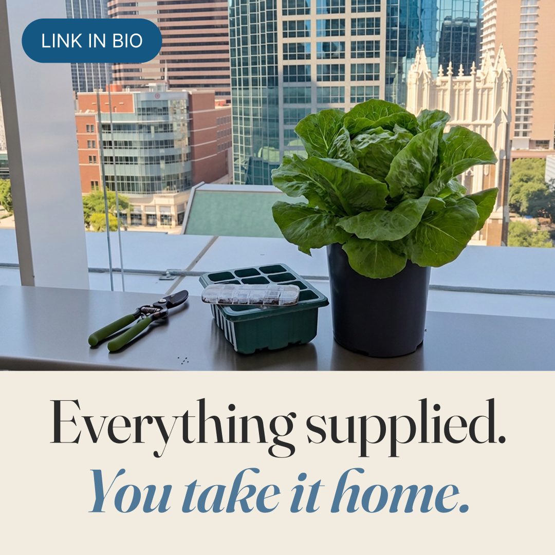 Instagram slide: Everything supplied. You take it home.