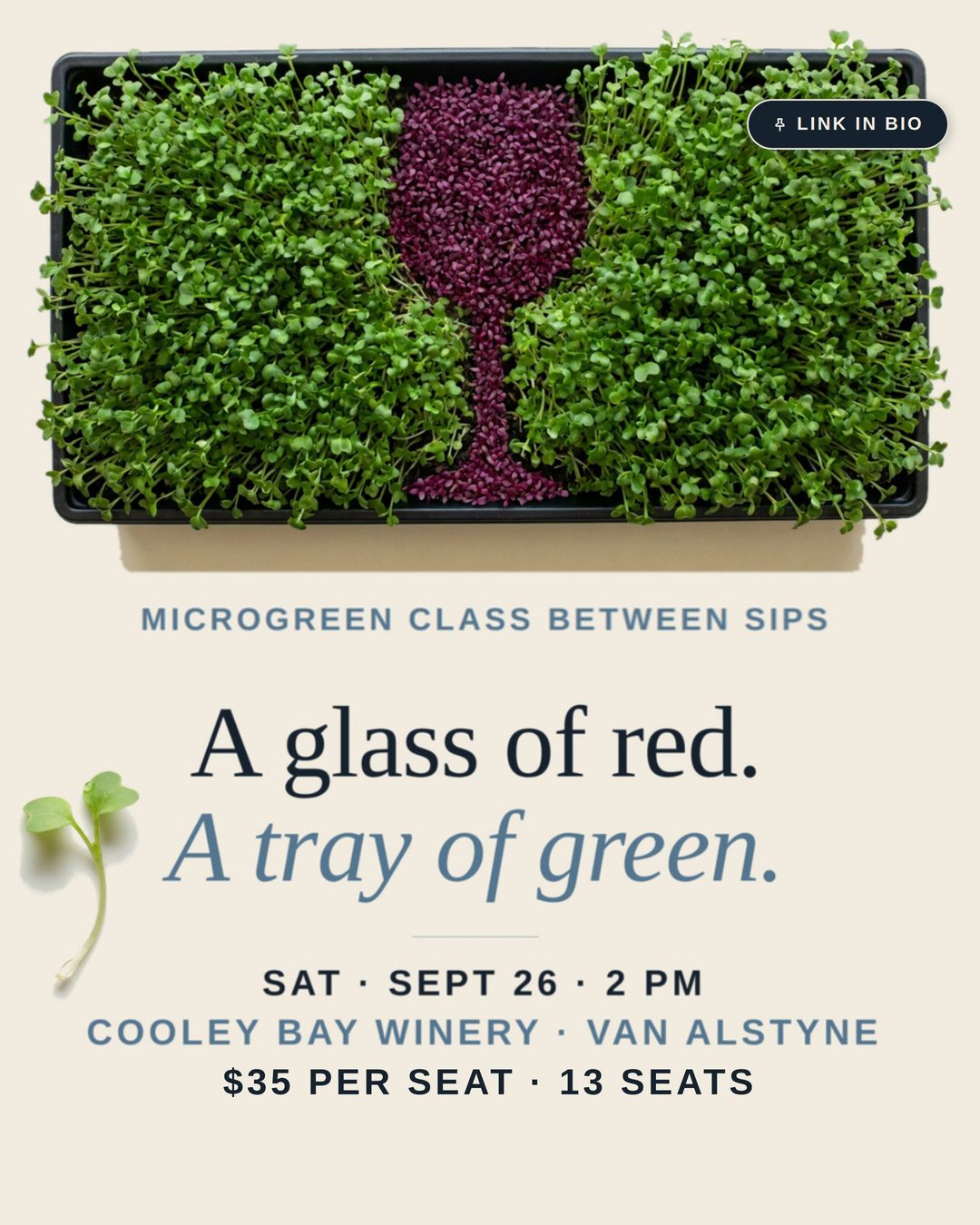 Instagram post for the microgreens workshop at Cooley Bay