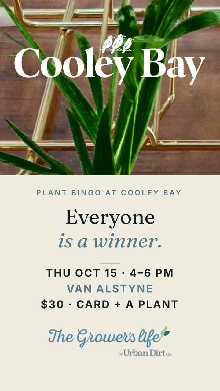 Instagram story: Plant Bingo at Cooley Bay